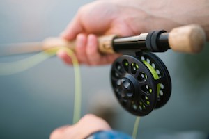 Fly Fishing for Beginners: Essential Tips and Advice