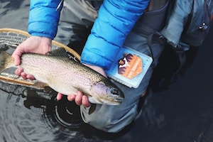 Saltwater Trout Fishing