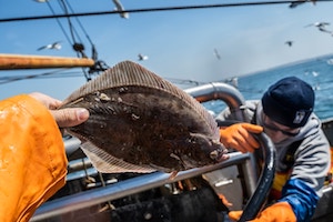 What Are the Best Locations for Catching Winter Flounder in Shallow Bays